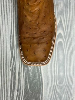 Men's Horse Power Oryx Lux FQ Ostrich With 13" Bucky Black Tops - HP-8017 -cowboy clothing shop IMG 3662