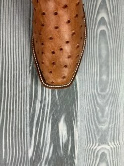 Rios Of Mercedes Brandy Mad Dog Full Quill Ostrich With 13" Red Avatar Tops -cowboy clothing shop IMG 4630