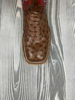 Macie Bean Top Hand Kango Tobac Full Quill Ostrich With 12" Red Fools Goat - M2001 -cowboy clothing shop MB4