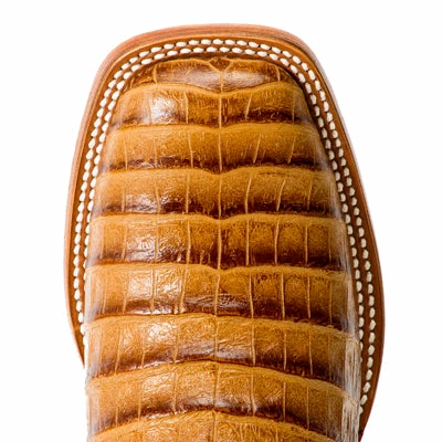 Macie Bean Slick Rikki 2 Macie Bean Slick Rikki - Image 2